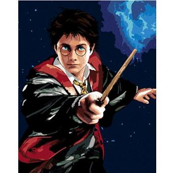 Zuty - Harry potter a hůlka, 40×50 cm (HRAwlmal133nad)