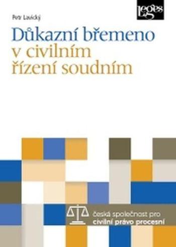 Důkazní břemeno v civilním řízení soudním - Lavický Petr