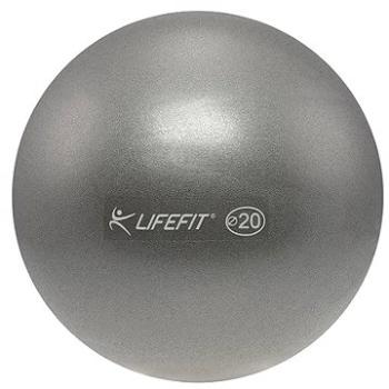 Lifefit overball stříbrný (SPTrul034nad)