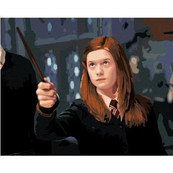 Zuty - Malování podle čísel - GINNY S HŮLKOU (HARRY POTTER), 40x50 cm, vypnuté plátno na rám (HRAmmb00065nad)