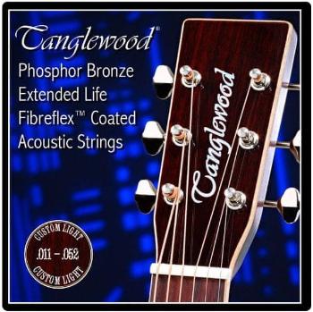 Tanglewood Acoustic Guitar Strings 11 Custom Light