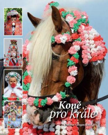 Koně pro krále - Gregor Dalibor