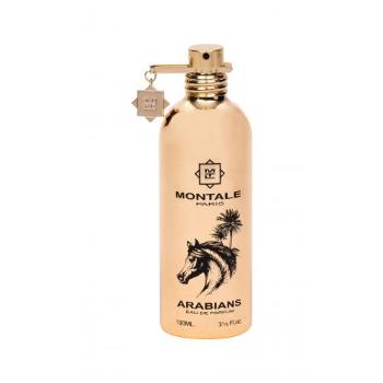 Montale Arabians 100 ml parfémovaná voda unisex