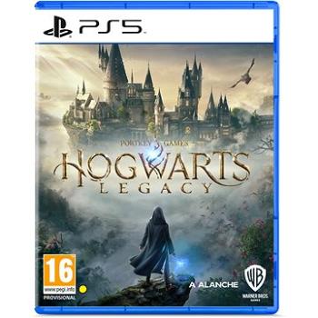 Hogwarts Legacy - PS5 (5051895413425)