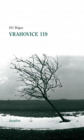 Vrahovice 119 - Jiří Bigas - e-kniha