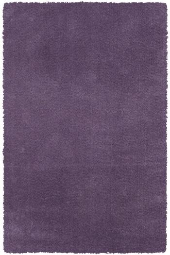 Sintelon koberce Kusový koberec Dolce Vita 01/LLL - 67x110 cm Fialová