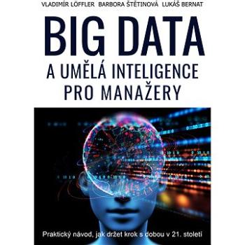 BIG DATA a umělá inteligence pro manažery (999-00-034-5249-8)