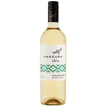 VIŇA MORANDE Mancura Sauvignon Blanc 2019 0,75l (7804449002617)