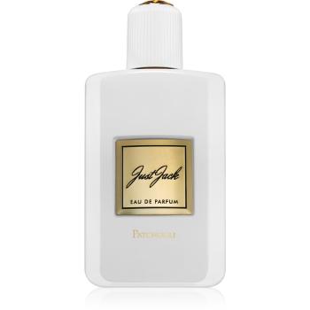 Just Jack Patchouli parfémovaná voda pro ženy 100 ml