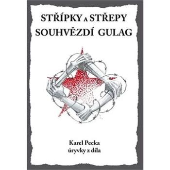 Střípky a střepy Souhvězdí Gulag (978-80-88342-00-7)