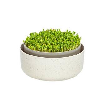 Plastia Microgreens, slonová kost s kávovou sedlinou