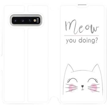 Flipové pouzdro na mobil Samsung Galaxy S10 Plus - M098P Meow you doing? (5903226812387)