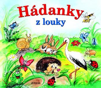 Hádanky z louky - Pospíšilová Zuzana