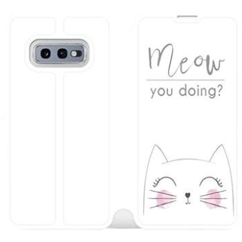 Flipové pouzdro na mobil Samsung Galaxy S10e - M098P Meow you doing? (5903226813827)