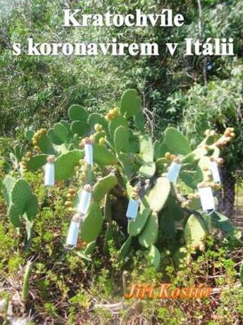 Kratochvíle s koronavirem v Itálii - Jiří Kostúr - e-kniha