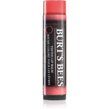 Burt’s Bees Tinted Lip Balm balzám na rty odstín Rose 4.25 g