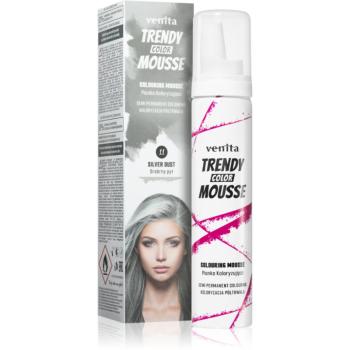 Venita Trendy Color Mousse barvicí pěna bez amoniaku odstín No. 11 - Silver Dust 75 ml