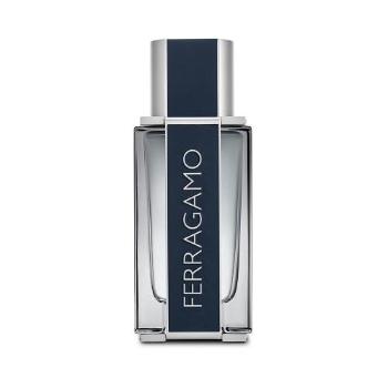 Salvatore Ferragamo Ferragamo 50 ml toaletní voda pro muže