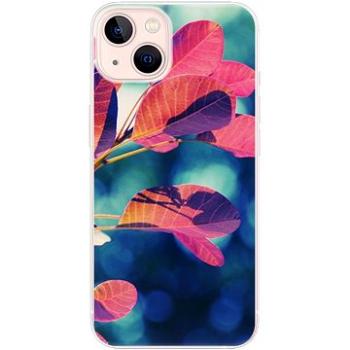 iSaprio Autumn 01 pro iPhone 13 (aut01-TPU3-i13)