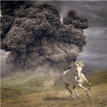 White Buffalo: Year Of The Dark Horse - LP (4567079)