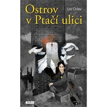 Ostrov v Ptačí ulici (978-80-7252-433-4)