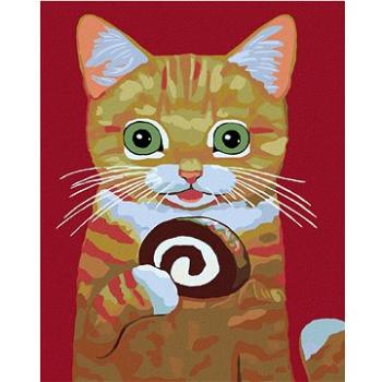 Malování podle čísel - Kočka s roládou (HRAmal00705nad)