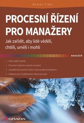 Procesní řízení pro manažery - Jak zařídit, aby lidé věděli, chtěli, uměli i mohli - Roman Fišer