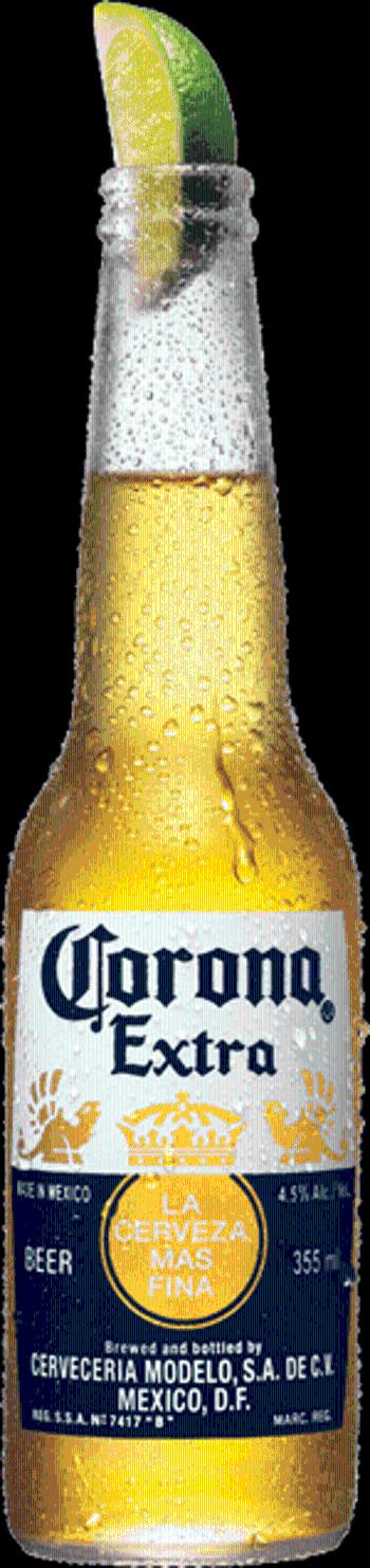 Corona Extra 4,5% 0,355l