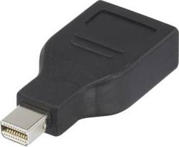 Adaptér miniDisplayPort zástrčka ⇒ DisplayPort zásuvka Renkforce