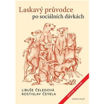 Laskavý průvodce po sociálních dávkách (9788024645766)