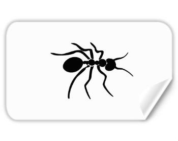 Samolepky obdelník - 5 kusů mravenec