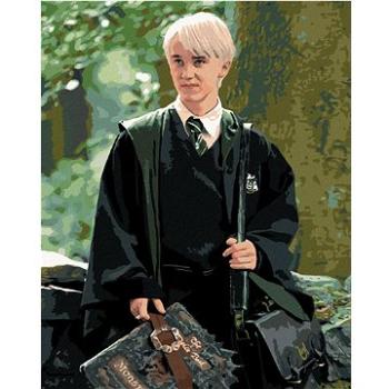 Draco s obludáriem (Harry Potter), 40×50 cm, bez rámu a bez vypnutí plátna (6063590)