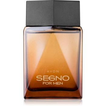 Avon Segno For Men parfémovaná voda pro muže 75 ml
