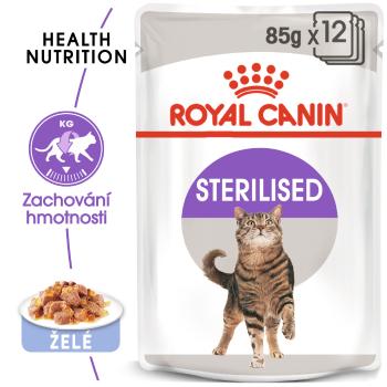 RC cat STERILISED JELLY - kapsička v pro kastrované kočky v želé - 85g