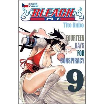 Bleach 9 (978-80-7449-183-2)