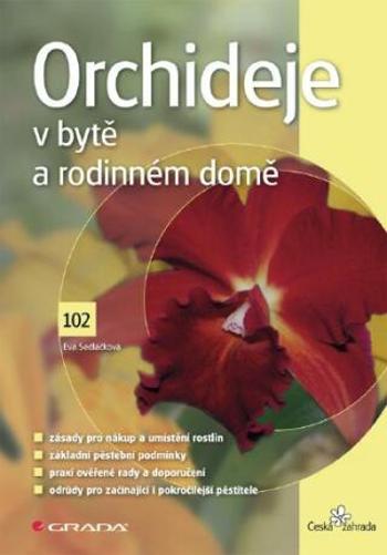 Orchideje v bytě a rodinném domě - Eva Sedláčková - e-kniha