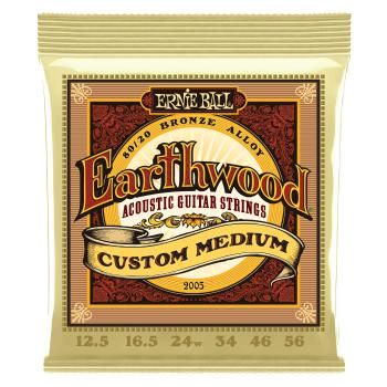 Ernie Ball Earthwood 80/20 Bronze Strings Custom Medium