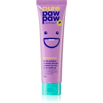 Pure Paw Paw Blackcurrant balzám na rty a suchá místa 25 g