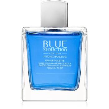 Antonio Banderas Blue Seduction toaletní voda pro muže 100 ml