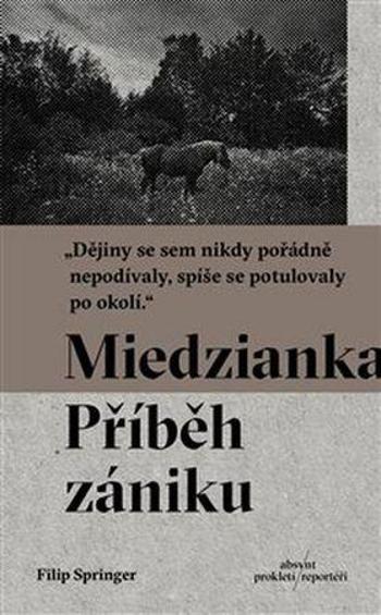 Miedzianka - Springer Filip