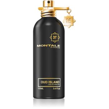 Montale Oud Island parfémovaná voda unisex 100 ml