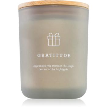 DW Home Hygge Gratitude vonná svíčka 425 g