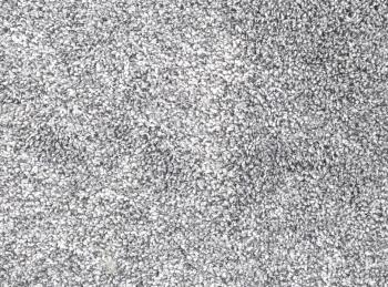 Spoltex koberce Liberec  47x590 cm Metrážový koberec Absolute 1091 Sv.šedý -  bez obšití  Šedá