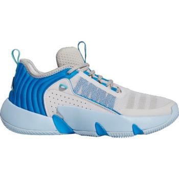 adidas TRAE UNLIMITED Pánská basketbalová obuv, šedá, velikost 42 2/3