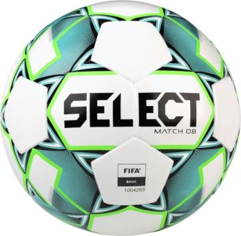 SELECT MATCH DB FIFA BASIC BALL MATCH WHT-GRE Velikost: 5