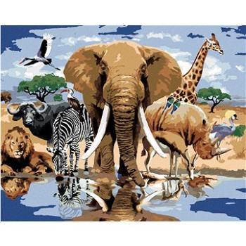Malování podle čísel - Zvířata u oázy afrika (Howard Robinson) (HRAbz33399nad)