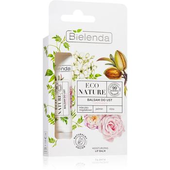 Bielenda ECO NATURE Almond milk + Jasmine + Rose hydratační balzám na rty 10 g