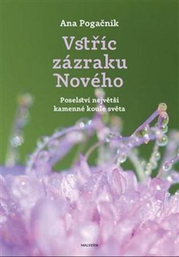 Vstříc zázraku Nového - Pogačnik Ana