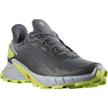 Salomon ALPHACROSS 4 GTX Pánská trailová bota, šedá, velikost 46