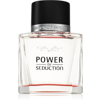 Antonio Banderas Power of Seduction toaletní voda pro muže 50 ml